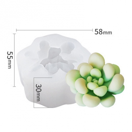 Immagine di 1 Pz Silicone Stampo in Resina per la Produzione di Sapone per Candele Fai-Da-Te Pianta Succulenta 3D Bianco 5.8cm x 5.5cm