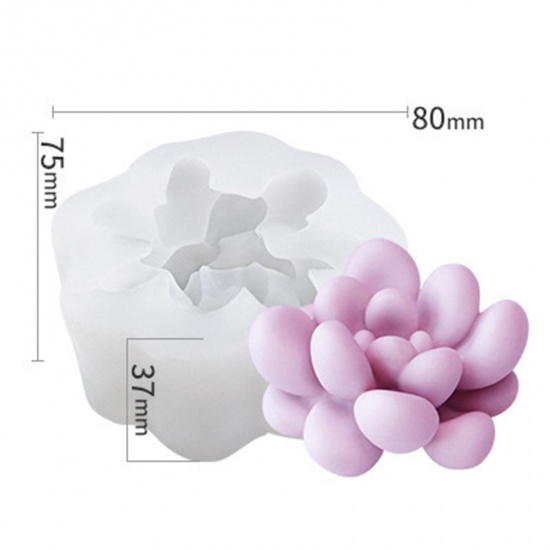 Immagine di 1 Pz Silicone Stampo in Resina per la Produzione di Sapone per Candele Fai-Da-Te Pianta Succulenta 3D Bianco 8cm x 7.5cm