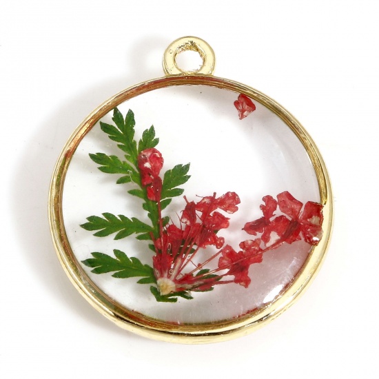 Picture of 2 PCs Handmade Resin Jewelry Real Flower Charms Round Flower Gold Plated Red & Green 22mm x 19mm
