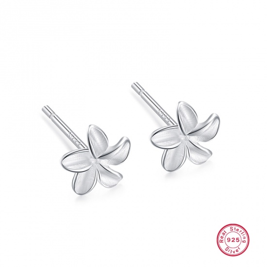 Picture of 1 Pair Sterling Silver Ear Post Stud Earrings Silver Color Flower 5mm x 11mm, Post/ Wire Size: (21 gauge)