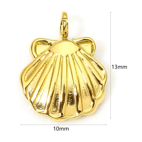 Image de 1 Pièce Breloques en 304 Acier Inoxydable Placage sous Vide PVD Respectueux de l'Environnement Style Pastoral Coquille Plaqué Or Véritable 18K 13mm x 10mm