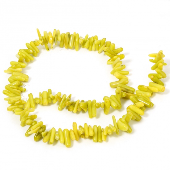 Picture of 1 Strand (Approx 250 - 120 PCs/Strand) Coral ( Natural Dyed ) Beads For DIY Charm Jewelry Making Irregular Yellow-green About 22x8mm - 6x4mm, Hole: Approx 0.5mm, 40cm(15 6/8") long