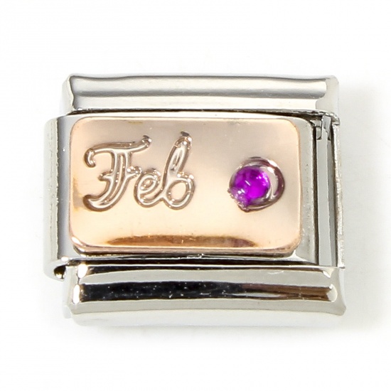 Immagine di 1 Piece 304 Stainless Steel Birthstone Italian Charm Links For DIY Bracelet Jewelry Making Silver Tone February Purple Rhinestone 10mm x 9mm