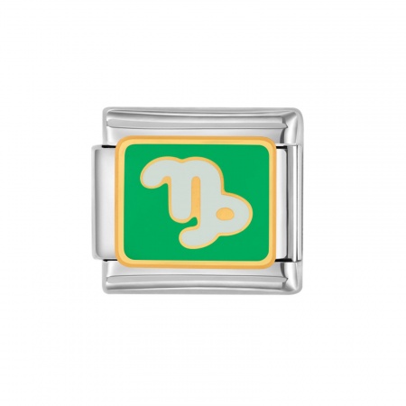 Picture of 1 Piece 304 Stainless Steel Italian Charm Links For DIY Bracelet Jewelry Making Silver Tone Light Green Rectangle Capricornus Sign Of Zodiac Constellations Enamel 10mm x 9mm