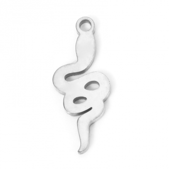 Immagine di 2 Pz 304 Acciaio Inossidabile Ciondoli Serpente Tono Argento 18mm x 8mm