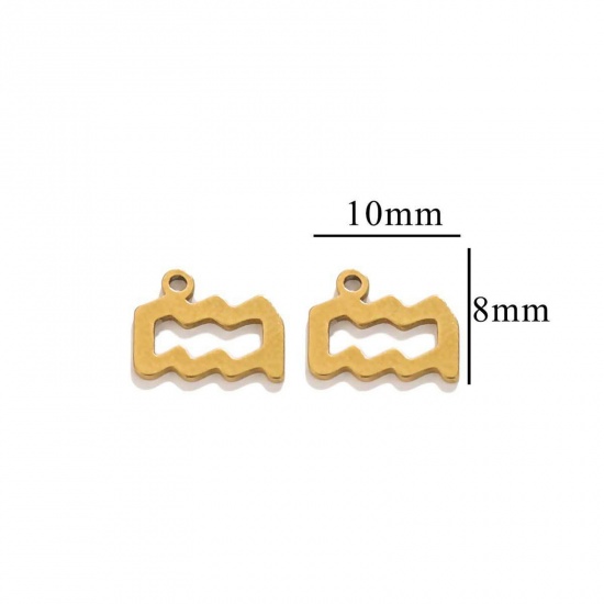 Immagine di 10 PCs Vacuum Plating 304 Stainless Steel Charms 18K Gold Plated Aquarius Sign Of Zodiac Constellations Roller Burnishing 10mm x 8mm