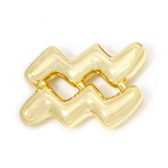 Immagine di 1 Pz Ecologico Ottone Ciondoli Costellazione 18K Vero Oro Placcato Costellazione Acquario 19mm x 14mm