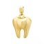 Immagine di 2 Pz Ottone Anatomy Jewerly Ciondoli Pendenti 18K Vero Oro Placcato Dente 3D 19mm x 12mm