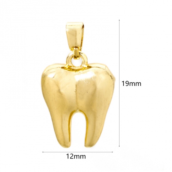 Bild von 2 Stück Messing Anatomy Jewerly Charm-Anhänger 18K Echtgold plattiert Zahn 3D 19mm x 12mm