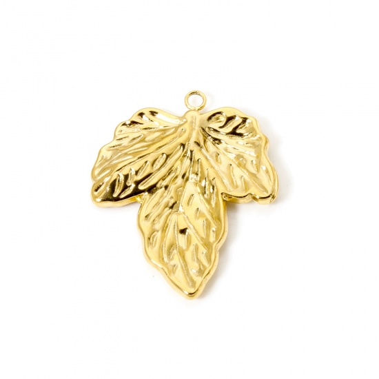 Bild von 1 Stück Umweltfreundliche PVD-Vakuumbeschichtung 304 Edelstahl Flora Kollektion Anhänger Blätter 18K Echtgold plattiert 35mm x 28mm