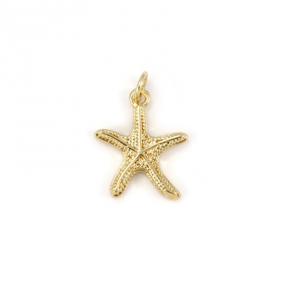 Immagine di 1 Pz Ecologico Ottone Gioielli Oceanici Ciondoli 18K Vero Oro Placcato Stella di Mare 21mm x 14.5mm