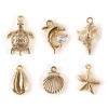 Picture of 1 Set ( 6 PCs/Set) Brass Ocean Jewelry Charms 18K Gold Plated Shell Mixed 3D