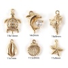 Picture of 1 Set ( 6 PCs/Set) Brass Ocean Jewelry Charms 18K Gold Plated Shell Mixed 3D