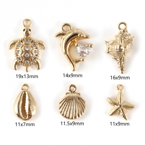 Picture of 1 Set ( 6 PCs/Set) Brass Ocean Jewelry Charms 18K Gold Plated Shell Mixed 3D