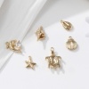 Picture of 1 Set ( 6 PCs/Set) Brass Ocean Jewelry Charms 18K Gold Plated Shell Mixed 3D