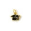 Bild von 2 Stück Messing College Schmuck Charms 18K Vergoldet Schwarz Emaille Doktorhut 13mm x 11mm