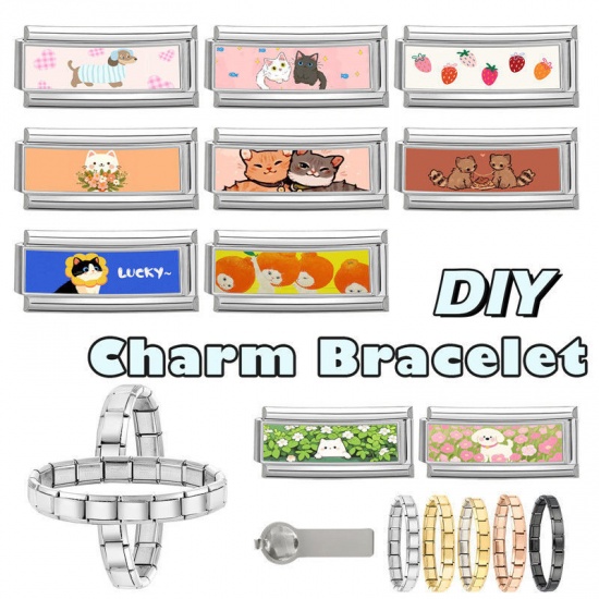 Immagine di 1 Pz 304 Acciaio Inossidabile Bracciale con Charm Italiano a Maglie, Creazione di Gioielli Fai-da-te Tono Argento Multicolore Rettangolo Gatto 20mm x 9mm