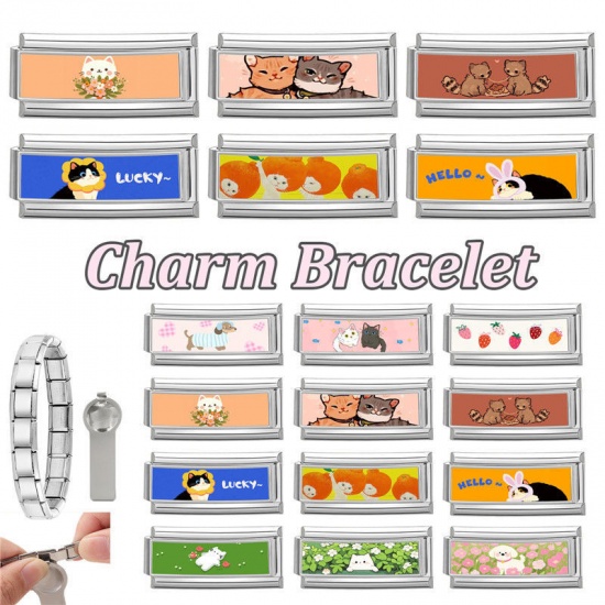 Immagine di 1 Pz 304 Acciaio Inossidabile Bracciale con Charm Italiano a Maglie, Creazione di Gioielli Fai-da-te Tono Argento Multicolore Rettangolo Gatto 20mm x 9mm