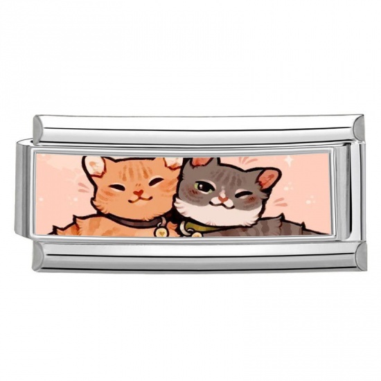 Immagine di 1 Pz 304 Acciaio Inossidabile Bracciale con Charm Italiano a Maglie, Creazione di Gioielli Fai-da-te Tono Argento Multicolore Rettangolo Gatto 20mm x 9mm