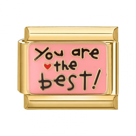 Picture of 1 Piece 304 Stainless Steel Stylish Italian Charm Links For DIY Bracelet Jewelry Making Gold Plated Pink Rectangle Message " You Are The Best " 10mm x 9mm