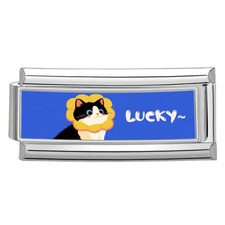 Picture of 1 Piece 304 Stainless Steel Italian Charm Links For DIY Bracelet Jewelry Making Silver Tone Multicolor Rectangle Cat Message " Lucky " 20mm x 9mm