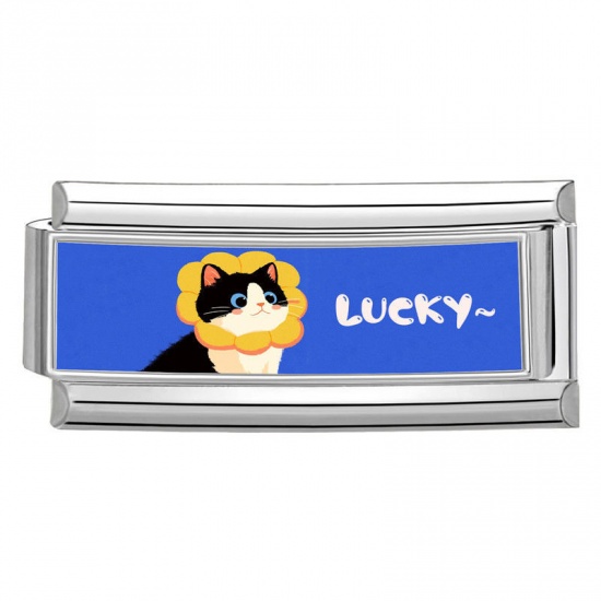Immagine di 1 Pz 304 Acciaio Inossidabile Bracciale con Charm Italiano a Maglie, Creazione di Gioielli Fai-da-te Tono Argento Multicolore Rettangolo Gatto Messaggio " Lucky " 20mm x 9mm