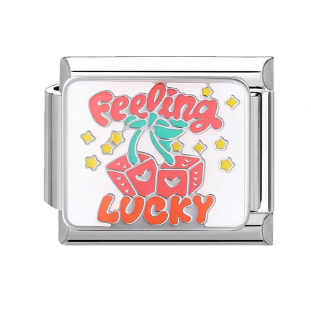 Picture of 1 Piece 304 Stainless Steel Stylish Italian Charm Links For DIY Bracelet Jewelry Making Silver Tone Multicolor Rectangle Message " Feeling Lucky " 10mm x 9mm