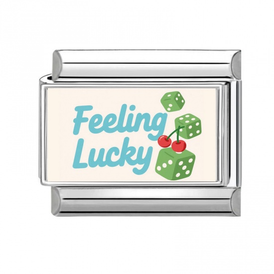 1 Piece 304 Stainless Steel Italian Charm Links For DIY Bracelet Jewelry Making Silver Tone Rectangle Message " Feeling Lucky " 10mm x 9mm の画像