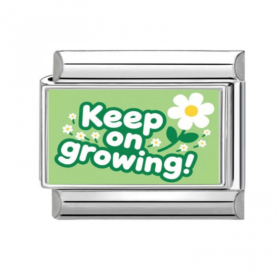 1 Piece 304 Stainless Steel Italian Charm Links For DIY Bracelet Jewelry Making Silver Tone Rectangle Message " Keep On Growing " 10mm x 9mm の画像