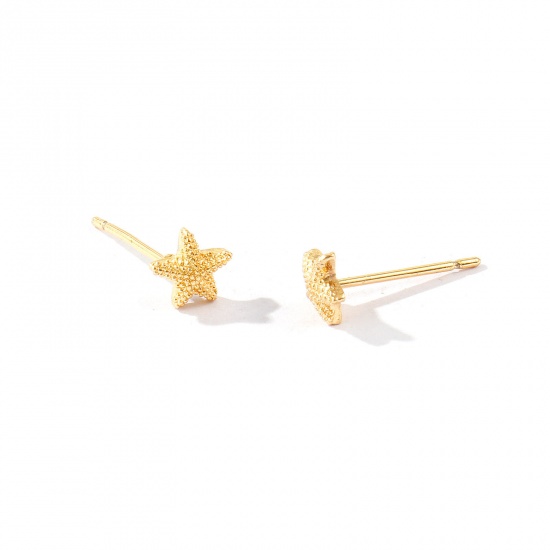 Picture of Wholesale Ocean Jewelry Stylish Ear Post Stud Earrings, Starfish 18K Real Gold Plated Brass, Women's Eco-friendly Gift Jewelry Supply, 6mm x 6mm, Post/ Wire Size: 0.7mm, 2 PCs