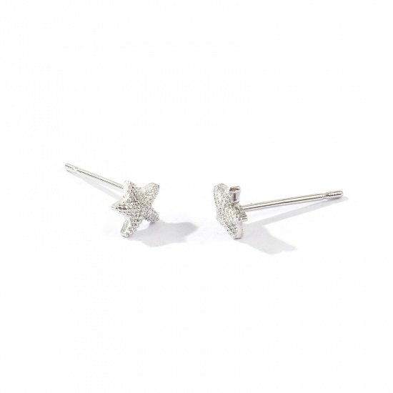 Picture of Wholesale Ocean Jewelry Stylish Ear Post Stud Earrings, Starfish Real Platinum Plated Brass, Women's Eco-friendly Gift Jewelry Supply, 6mm x 6mm, Post/ Wire Size: 0.7mm, 2 PCs
