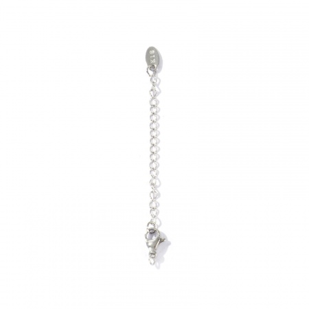 Picture of 10 PCs Eco-friendly 304 Stainless Steel Extender Chain Wholesale For Necklace Bracelet Jewelry Making Silver Tone With Lobster Claw Clasp 7.2cm(2.8") long, Usable Chain Length: 5cm(2")