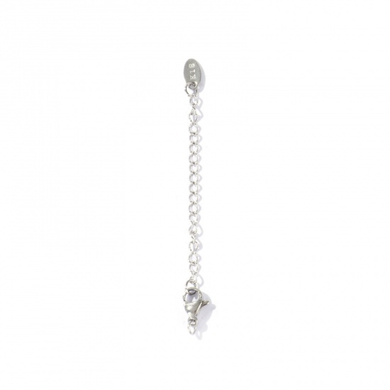 Picture of 10 PCs Eco-friendly 304 Stainless Steel Extender Chain Wholesale For Necklace Bracelet Jewelry Making Silver Tone With Lobster Claw Clasp 7.2cm(2.8") long, Usable Chain Length: 5cm(2")