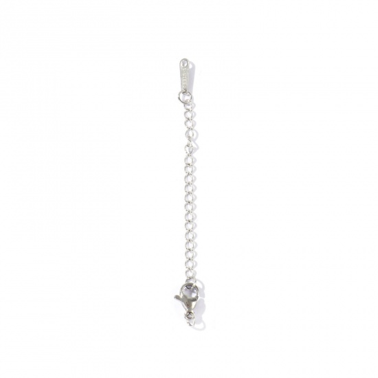 Picture of 10 PCs Eco-friendly 304 Stainless Steel Extender Chain Wholesale For Necklace Bracelet Jewelry Making Silver Tone With Lobster Claw Clasp 7.5cm(3") long, Usable Chain Length: 5cm(2")