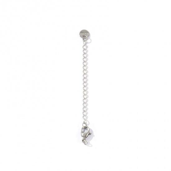 Picture of 10 PCs Eco-friendly 304 Stainless Steel Extender Chain Wholesale For Necklace Bracelet Jewelry Making Silver Tone With Lobster Claw Clasp 7cm(2 6/8") long, Usable Chain Length: 5cm(2")