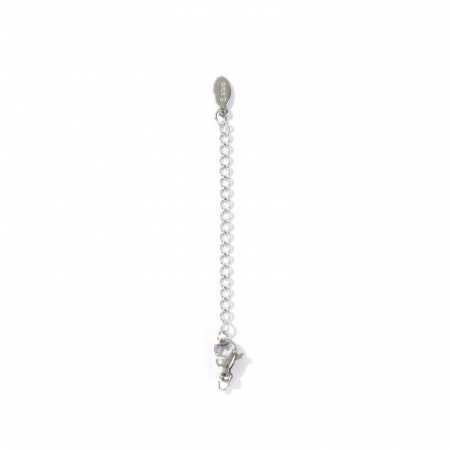 Picture of 10 PCs Eco-friendly 304 Stainless Steel Extender Chain Wholesale For Necklace Bracelet Jewelry Making Silver Tone With Lobster Claw Clasp 7.5cm(3") long, Usable Chain Length: 5cm(2")
