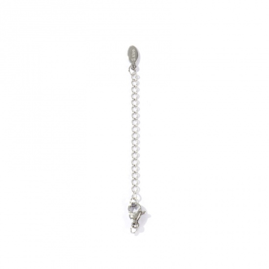 Picture of 10 PCs Eco-friendly 304 Stainless Steel Extender Chain Wholesale For Necklace Bracelet Jewelry Making Silver Tone With Lobster Claw Clasp 7.5cm(3") long, Usable Chain Length: 5cm(2")