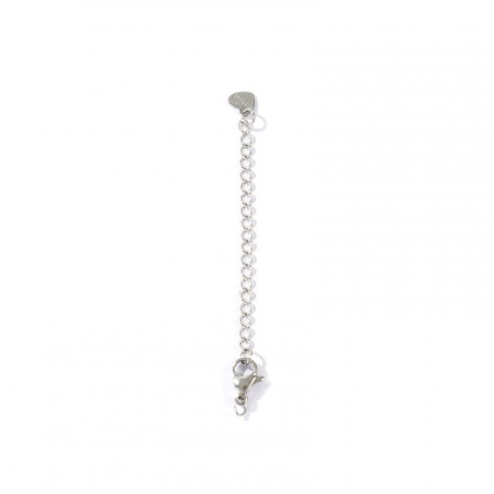 Picture of 10 PCs Eco-friendly 304 Stainless Steel Extender Chain Wholesale For Necklace Bracelet Jewelry Making Silver Tone With Lobster Claw Clasp 7cm(2 6/8") long, Usable Chain Length: 5cm(2")