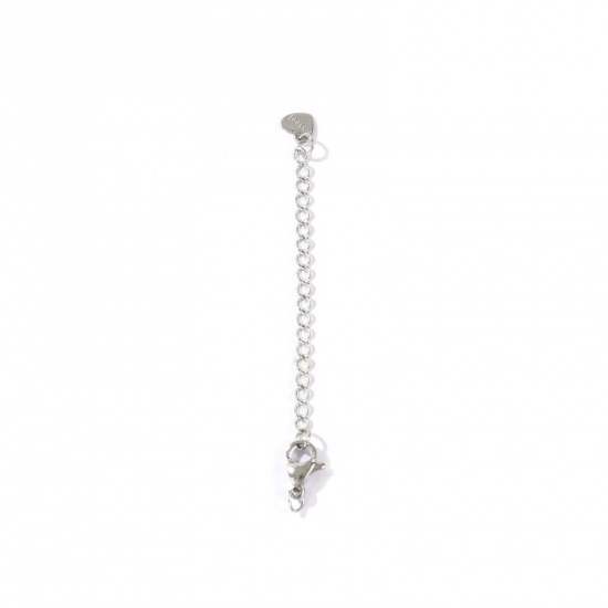 Picture of 10 PCs Eco-friendly 304 Stainless Steel Extender Chain Wholesale For Necklace Bracelet Jewelry Making Silver Tone With Lobster Claw Clasp 7cm(2 6/8") long, Usable Chain Length: 5cm(2")