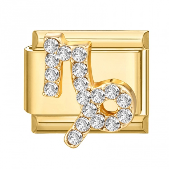 Picture of 1 Piece 304 Stainless Steel & Zinc Based Alloy Italian Charm Links For DIY Modular Bracelet Watch Jewelry Making Wholesale Gold Plated Rectangle Capricornus Sign Of Zodiac Constellations Clear Rhinestone 10mm x 9mm