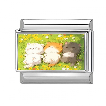 Picture of 1 Piece 304 Stainless Steel Italian Charm Links For DIY Modular Bracelet Watch Jewelry Making Wholesale Silver Tone Multicolor Rectangle Cat 10mm x 9mm