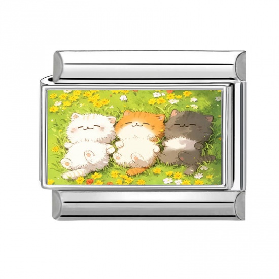 Picture of 1 Piece 304 Stainless Steel Italian Charm Links For DIY Modular Bracelet Watch Jewelry Making Wholesale Silver Tone Multicolor Rectangle Cat 10mm x 9mm