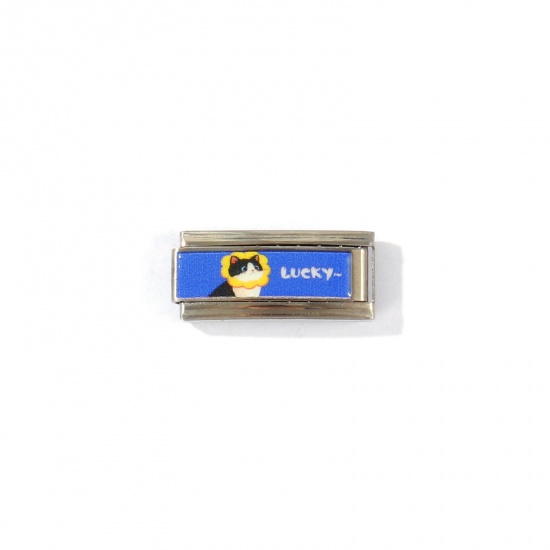 Picture of 1 Piece 304 Stainless Steel Italian Charm Links For DIY Modular Bracelet Watch Jewelry Making Wholesale Silver Tone Blue Rectangle Cat Message " Lucky " 20mm x 9mm