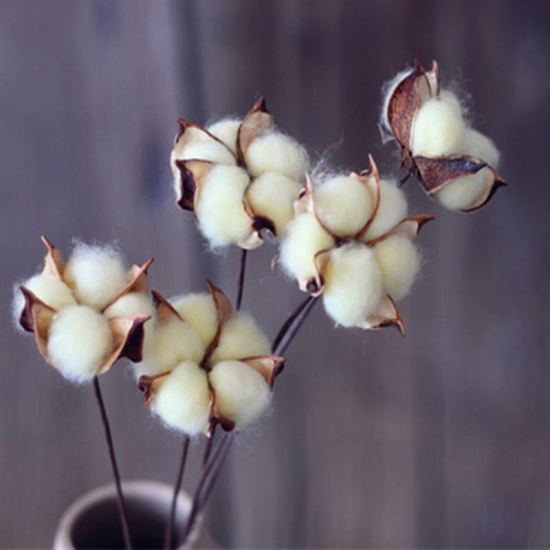 Immagine di Decorazione di Fiori Secchi Fiore di Cotone Bianco 60cm, 1 Pz