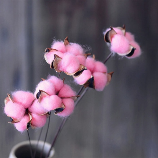 Immagine di Decorazione di Fiori Secchi Fiore di Cotone Rosa Chiaro 60cm, 1 Pz