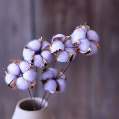 Immagine di Decorazione di Fiori Secchi Fiore di Cotone Viola Chiaro 60cm, 1 Pz
