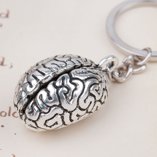 Picture of 3D Keychain & Keyring Anatomical Human Cerebrum Brain Antique Silver 8.7cm, 1 Piece