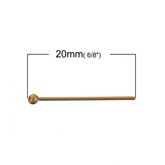 Bild von (21 gauge) Zinklegierung Kettelstifte 14K Gold 20mm long, 50 Stücke