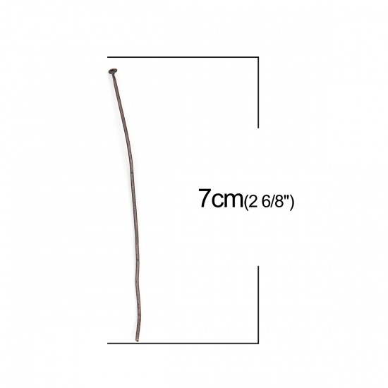 Immagine di Lega di Ferro Spillo Spilli Ossido di Rame lunghezza: 7cm, 0.8mm (20 misura) 200 Pz