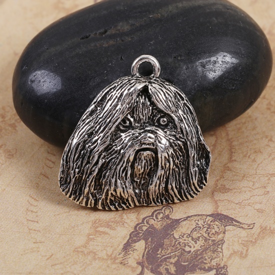Picture of Zinc Based Alloy Charms Shih Tzu Dog Animal Antique Silver 28mm(1 1/8") x 28mm(1 1/8"), 5 PCs